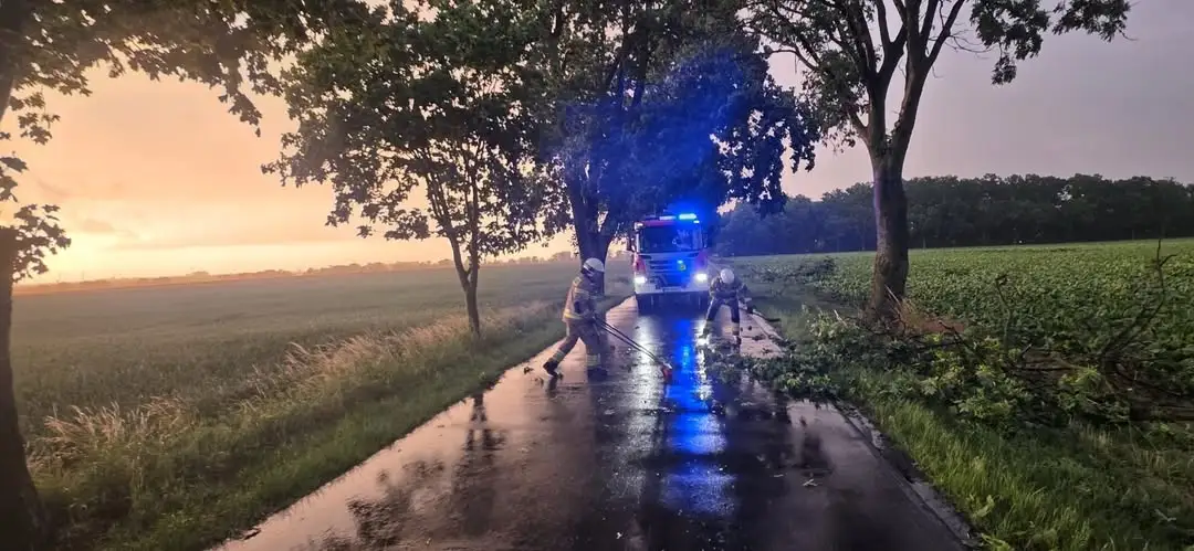 OSP Kamieniec usuwa wiatrołomy po nawałnicy w kilku miejscowościach