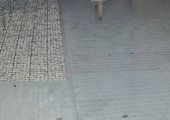 Wandalizm na basenie w Grodzisku Wielkopolskim – sprawę wyjaśnia policja