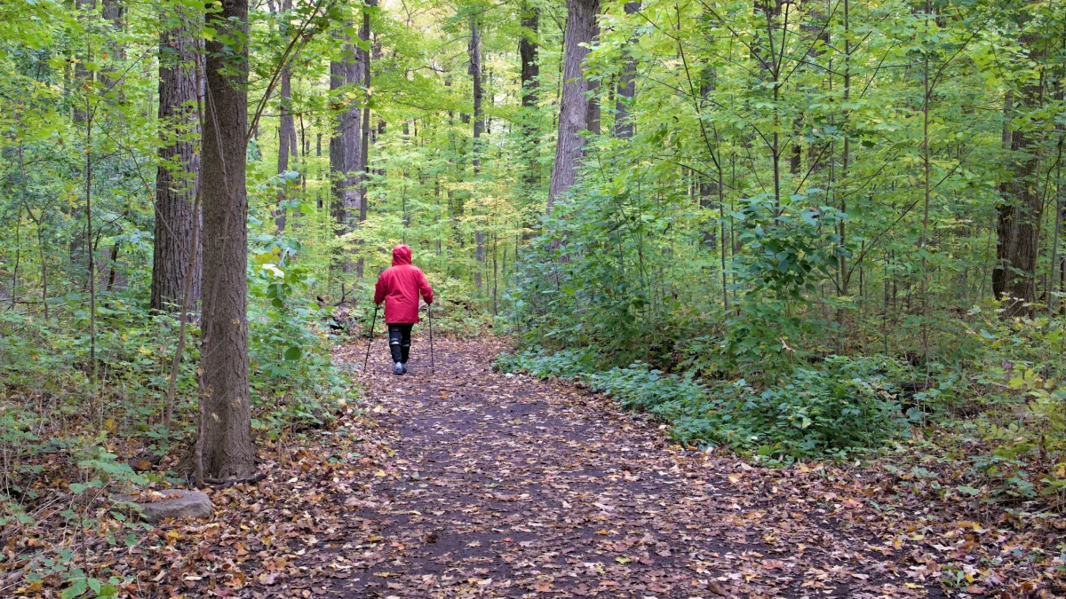 Cross Drzymały 2026 – bieg i nordic walking w Parku Rakoniewice