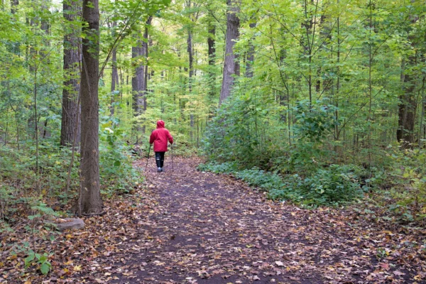 Cross Drzymały 2026 – bieg i nordic walking w Parku Rakoniewice