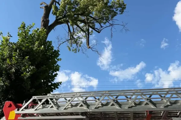 OSP usuwa zagrożenie: zwisający konar na ul. Rakoniewickiej w Wielichowie
