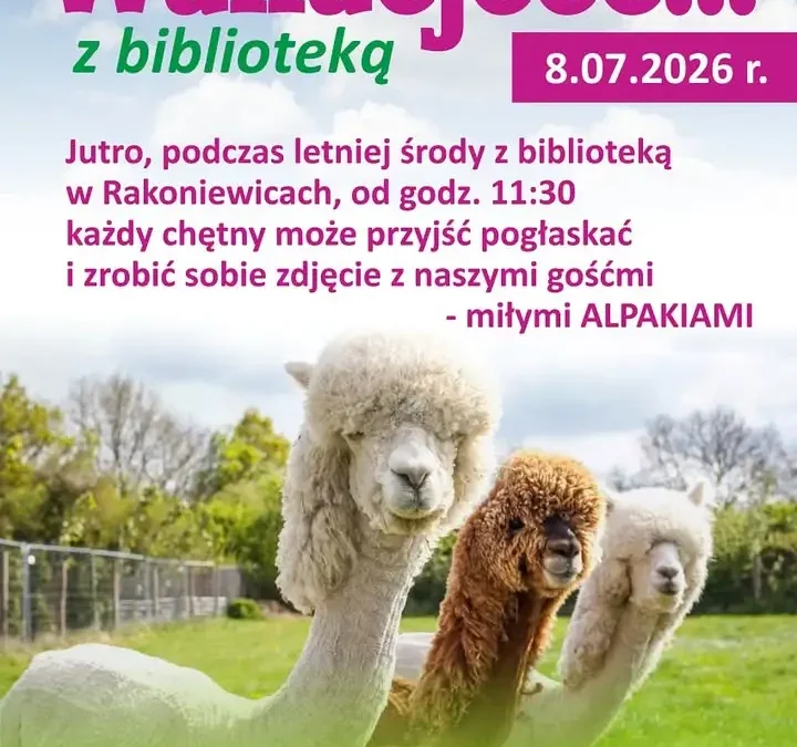 Spotkanie z alpakami w bibliotece w Rakoniewicach już jutro