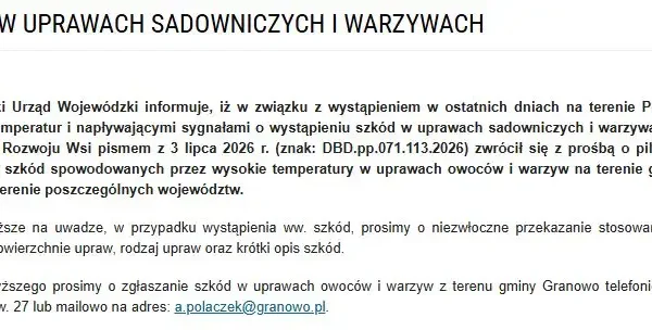 Gmina Granowo: zgłaszaj szkody w uprawach spowodowane upałami