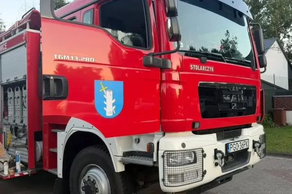 Usuwanie gniazda owadów błonkoskrzydłych w Rakoniewicach