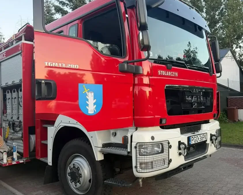 Usuwanie gniazda owadów błonkoskrzydłych w Rakoniewicach