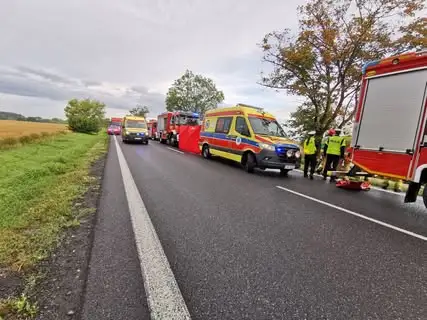 Poważny wypadek na drodze K-32 w Kotowie-Ptaszkowie. Samochód uderzył w drzewo
