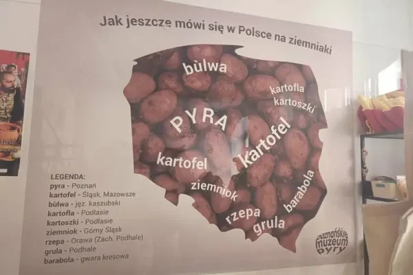 Wakacyjne zajęcia w GOK Granowo: drugi tydzień pełen wycieczek i warsztatów