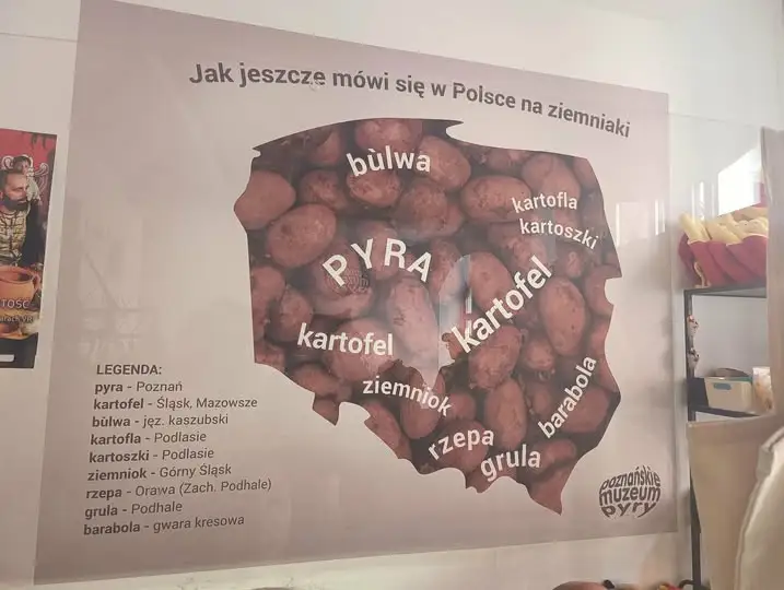 Wakacyjne zajęcia w GOK Granowo: drugi tydzień pełen wycieczek i warsztatów