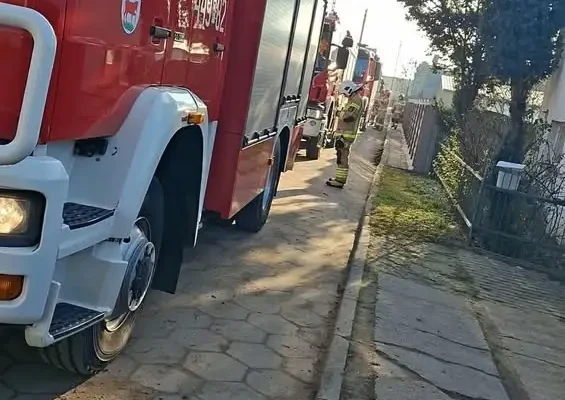 OSP Kamieniec usuwa powalone drzewo na drodze 308