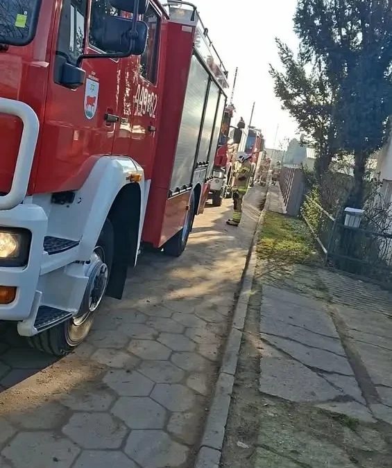 OSP Kamieniec usuwa powalone drzewo na drodze 308