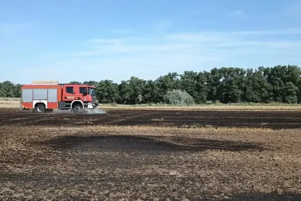 Pożar ścierniska w Ujeździe – interwencja kilku zastępów straży