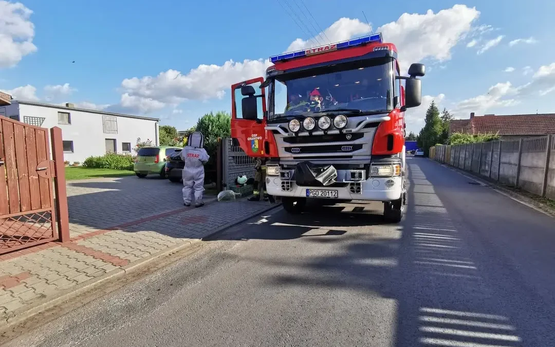 Interwencje OSP Granowo: plama ropopochodna na K-32 i zdarzenia medyczne