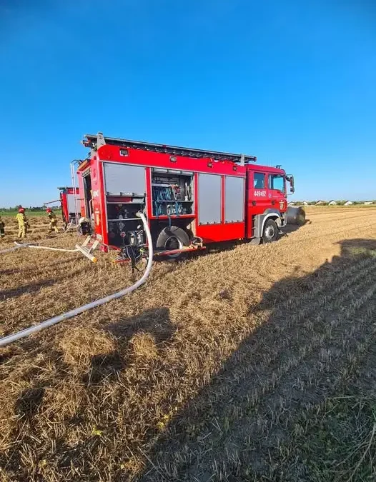 Pożar prasy i pola w Granowie – strażacy w akcji