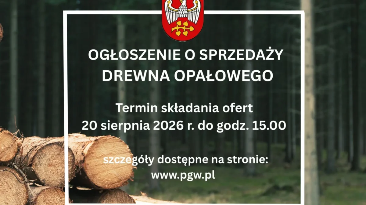 Starostwo w Grodzisku Wlkp. sprzedaje drewno opałowe – oferty do 20 sierpnia