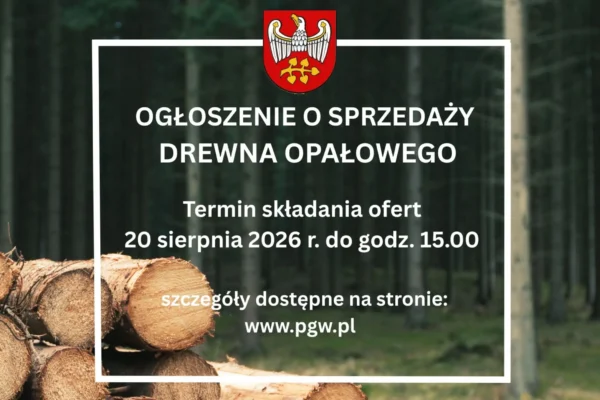 Starostwo w Grodzisku Wlkp. sprzedaje drewno opałowe – oferty do 20 sierpnia
