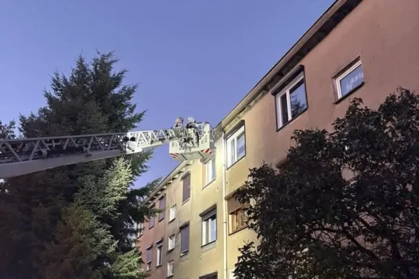 Interwencja strażaków z Kamieńca – usuwanie gniazda owadów błonkoskrzydłych