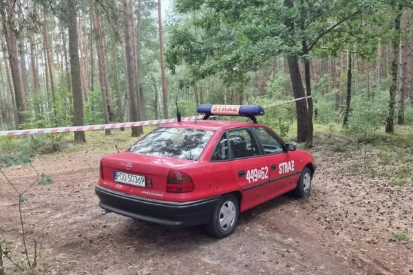 Druhowie z OSP Rakoniewice zabezpieczali trasę Cross Drzymały i wystartowali w biegu