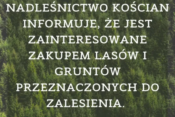 Nadleśnictwo Kościan kupi Twój las lub grunt do zalesienia