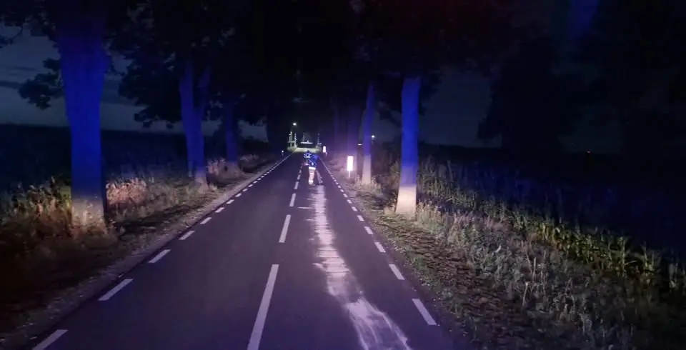 Trzy interwencje OSP Granowo w ciągu dwóch tygodni – kolizje, plama oleju i dzikie zwierzęta na drogach