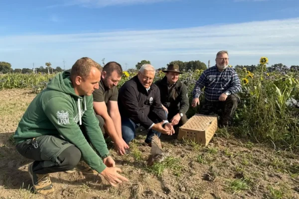 Powiat Grodziski wzbogaca faunę: 154 kuropatwy wypuszczone do siedlisk